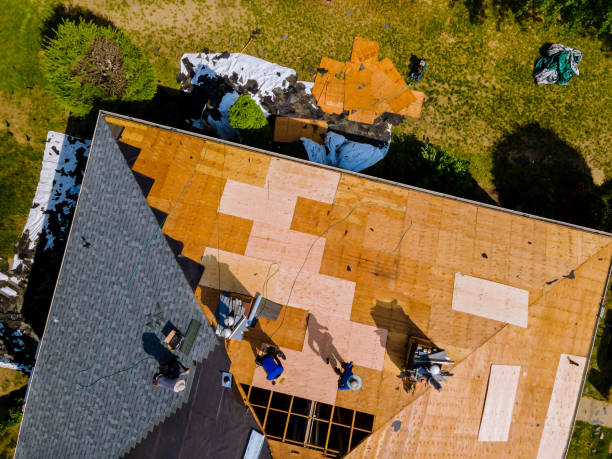 Best Storm Damage Roof Repair  in Charlestown, MD